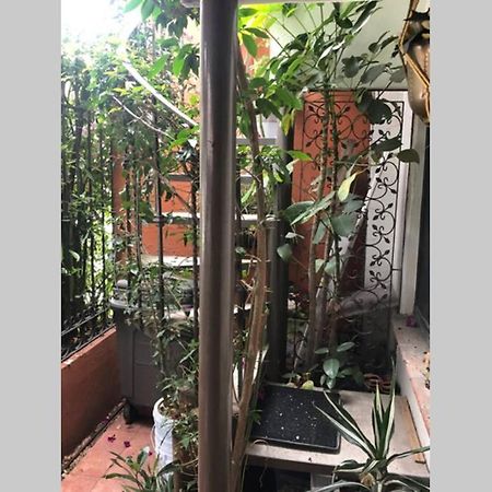 Amplia Habitacion Tipo Ejecutiva Con Bano Y Acceso Privados Toluca Ngoại thất bức ảnh